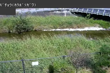 Fiume Karabori ad Aobacho, Higashimurayama