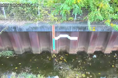 Fiume Karabori al ponte Nakasuna, Musashimurayama
