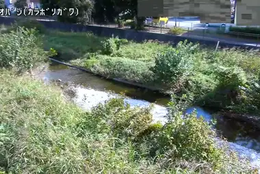 Karabori River at Noshio Bridge, Kiyose
