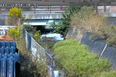 Fiume Karabori al ponte Shinmei, Musashimurayama