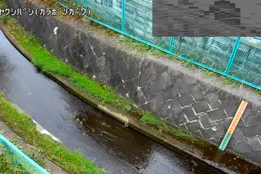 Fiume Karabori al ponte Shinyakushi, Musashimurayama