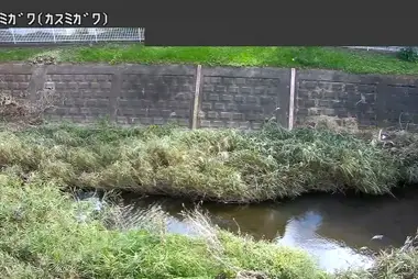 Fiume Kasumi a Imai, Ome