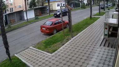 Wine Cellar «Caucasian Style» Live Cam