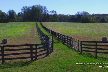 Kentucky Equine Adoption Center, Nicholasville