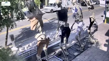 위커 게스트하우스, 키웨스트 웹캠 라이브 스트림