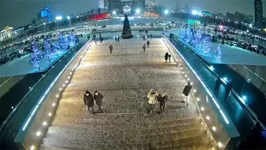 Жас қыздардың кискасы