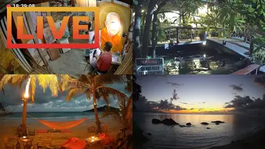 Веб-камера Магазин тайских художников, Сурат Тани в реальном времени