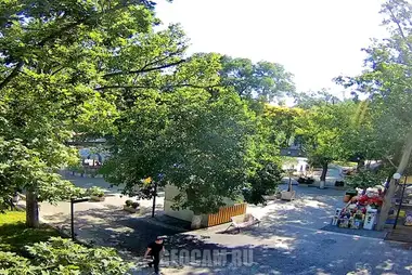 Webcam in the Komsomolsky Park of Sevastopol, Crimea