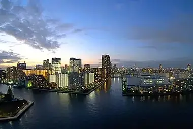 Tokyo panorama