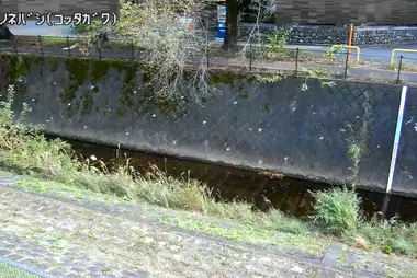 Fiume Kotta al ponte Kaminone, Tama