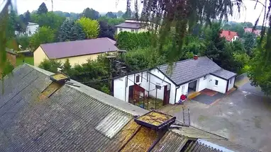 Rehabilitation center for storks in Kozubschina village Live Cam