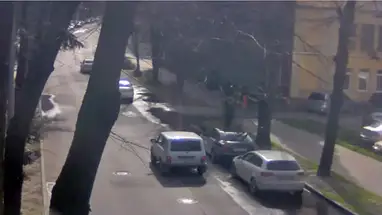 レッド・アーミー・ストリートからグレープ・ストリートへ ウェブカメラのライブストリーム