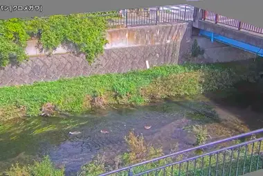 Rivière Kurome au pont Oriba, Higashikurume