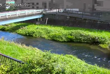 Fiume Kurome al ponte Shimoda, Higashikurume