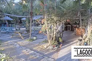 Khóa cỏ đầm phá, FL