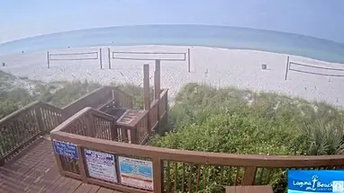 佛罗里达州拉古纳海滩 在线网络摄像头