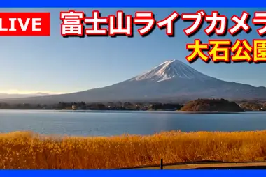 Lago Kawaguchiko desde el parque Oishi