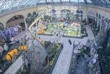 Bellagio, Las Vegas