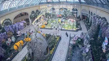 Bellagio, Las Vegas online-webcam