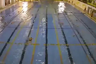Swimming pool of Sports complex Lazurny, Kemerovo