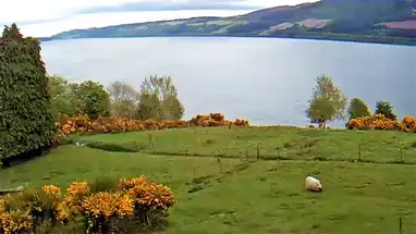 Loch Ness-meer, Schotland online-webcam