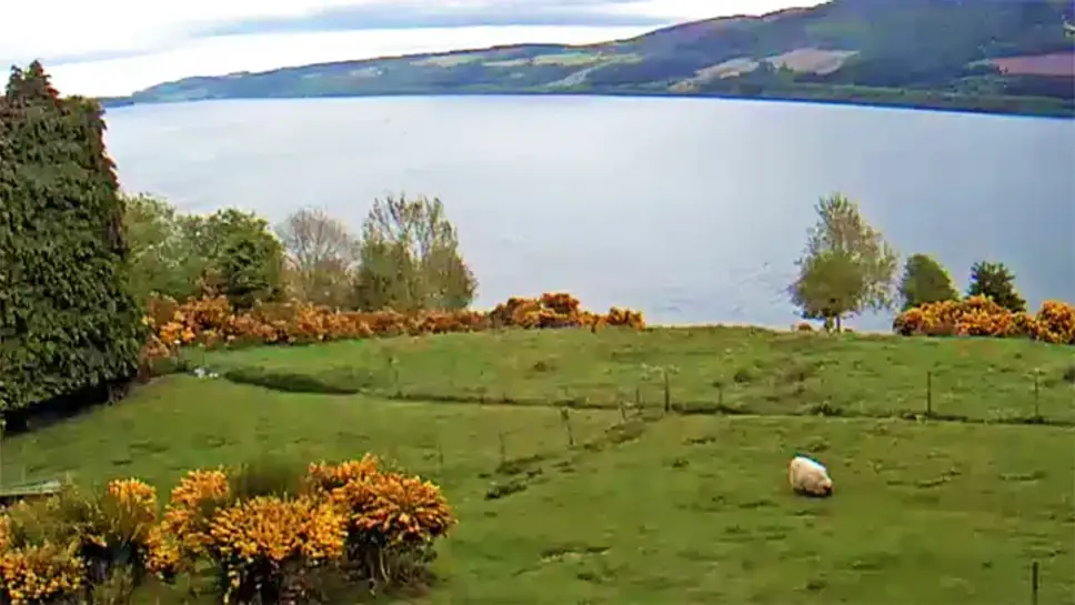 Камеры в озерах. Озеро Лохнесс в реальном времени. Шотландия веб камера. Шотландия камера.