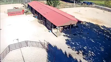 डनरोविन रेंच, मोंटाना लाइव वेबकैम प्रसारण