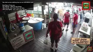 Hubbard's Marina Dock, Florida online-webcam