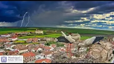 Madrigal de las Altas Torres Live Cam