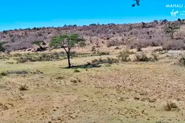 Ladera de Mahali Mzuri, Olare Motorogi