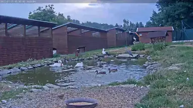 Stacja Pogotowia Ratunkowego w Makowie kamera na żywo