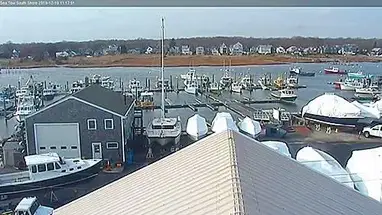 海拖南岸 在线网络摄像头