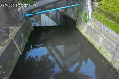 Fiume Maruko alla chiusa Taka no Iri, Ota