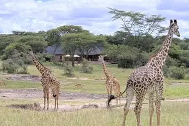 Masai Mara, Kenia