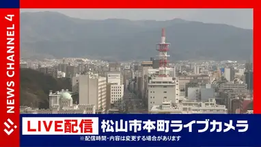 Lotnisko Matsuyama w Japonii kamera na żywo
