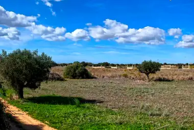 Platteland in het westen, Mazara del Vallo