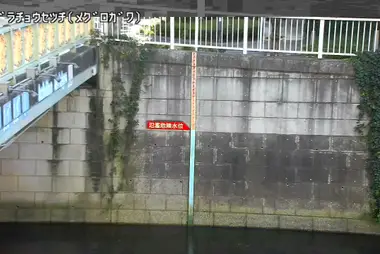 Fiume Meguro a monte del bacino di laminazione di Ebara, Shinagawa