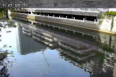 Fiume Meguro al bacino di laminazione Ebara, Shinagawa