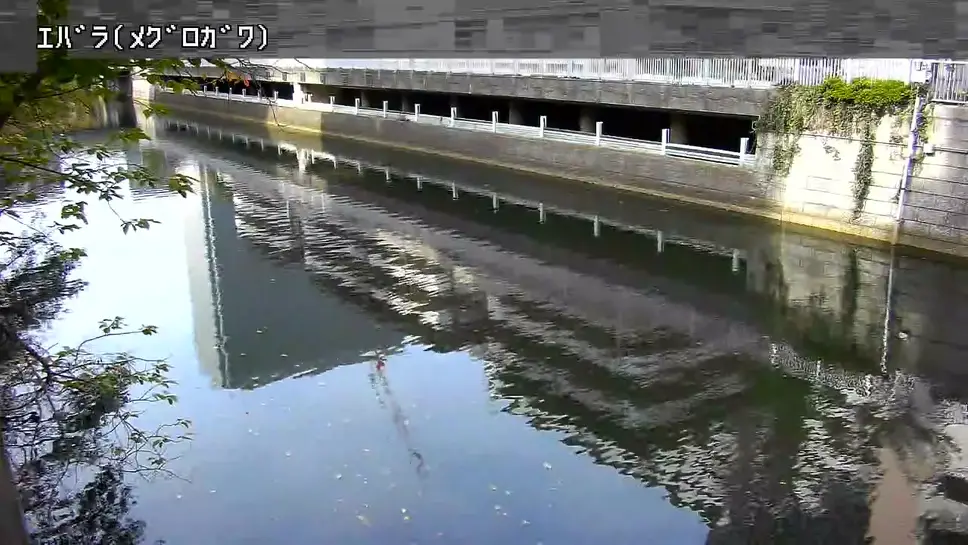 Live Webcam Meguro River at Ebara Flood Control Basin, Shinagawa
