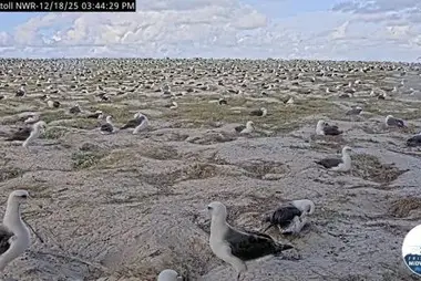 मिडवे एटोल, सैंड आइलैंड