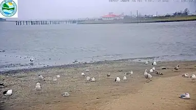 Mispillion Harbor, Delaware online-webcam