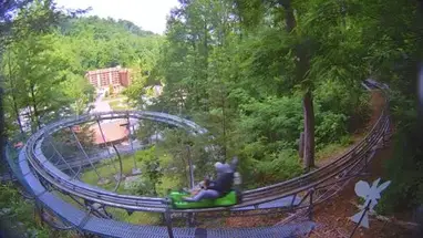 Веб-камера Камера Moonshine Mountain Coaster в реальном времени