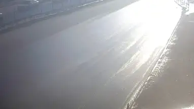 Веб-камера Московский проспект, Автобусная остановка. в реальном времени