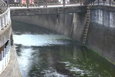 Fiume Myoshoji al bacino di laminazione Ochiai, Shinjuku