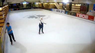 Веб-камера Каток в ТЦ «Галерея» в реальном времени