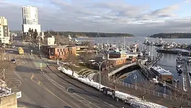 Porto di Nanaimo, Columbia Britannica webcam dal vivo
