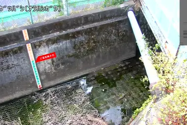 Fiume Narahashi a valle del ponte Nichigetsu, Higashiyamato