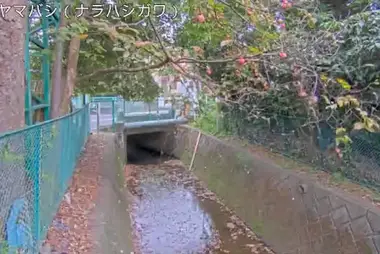 Fiume Narahashi al ponte Murayama, Higashiyamato