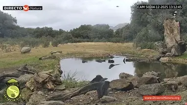 センデロ ヴィヴォ、ナバラガメラ ウェブカメラのライブストリーム