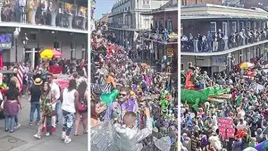Cat’s Meow Balcony, New Orleans Live Cam